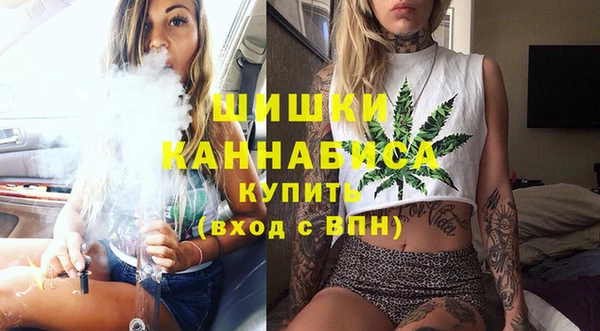 бутират Инсар