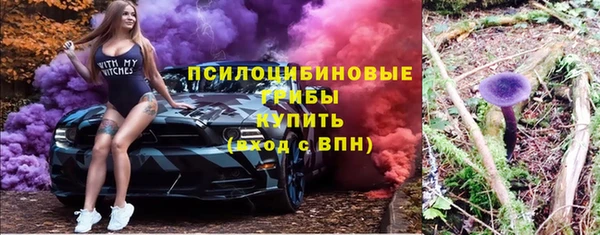 винт Инта
