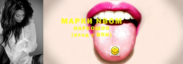 винт Инта