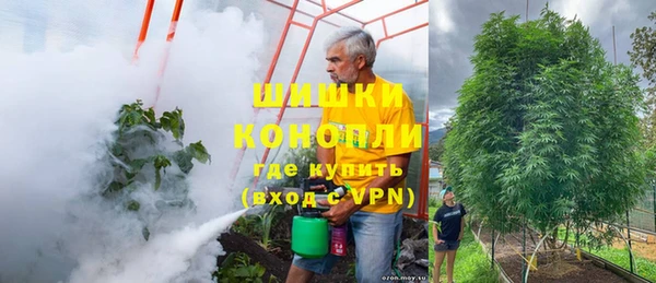 бутират Инсар
