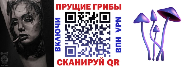 Купить  Когалым  Псилоцибиновые грибы MAGIC MUSHROOMS 